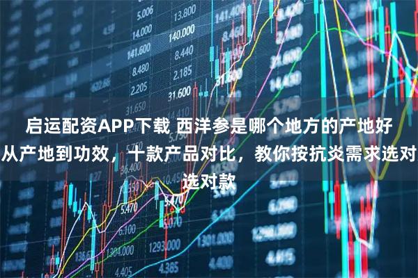 启运配资APP下载 西洋参是哪个地方的产地好？从产地到功效，十款产品对比，教你按抗炎需求选对款